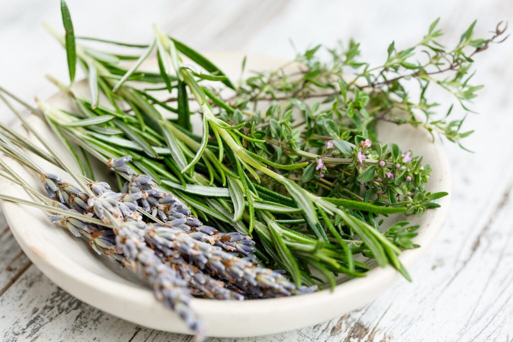 erbe aromatiche con rosmarino, timo, maggiorana, lavanda